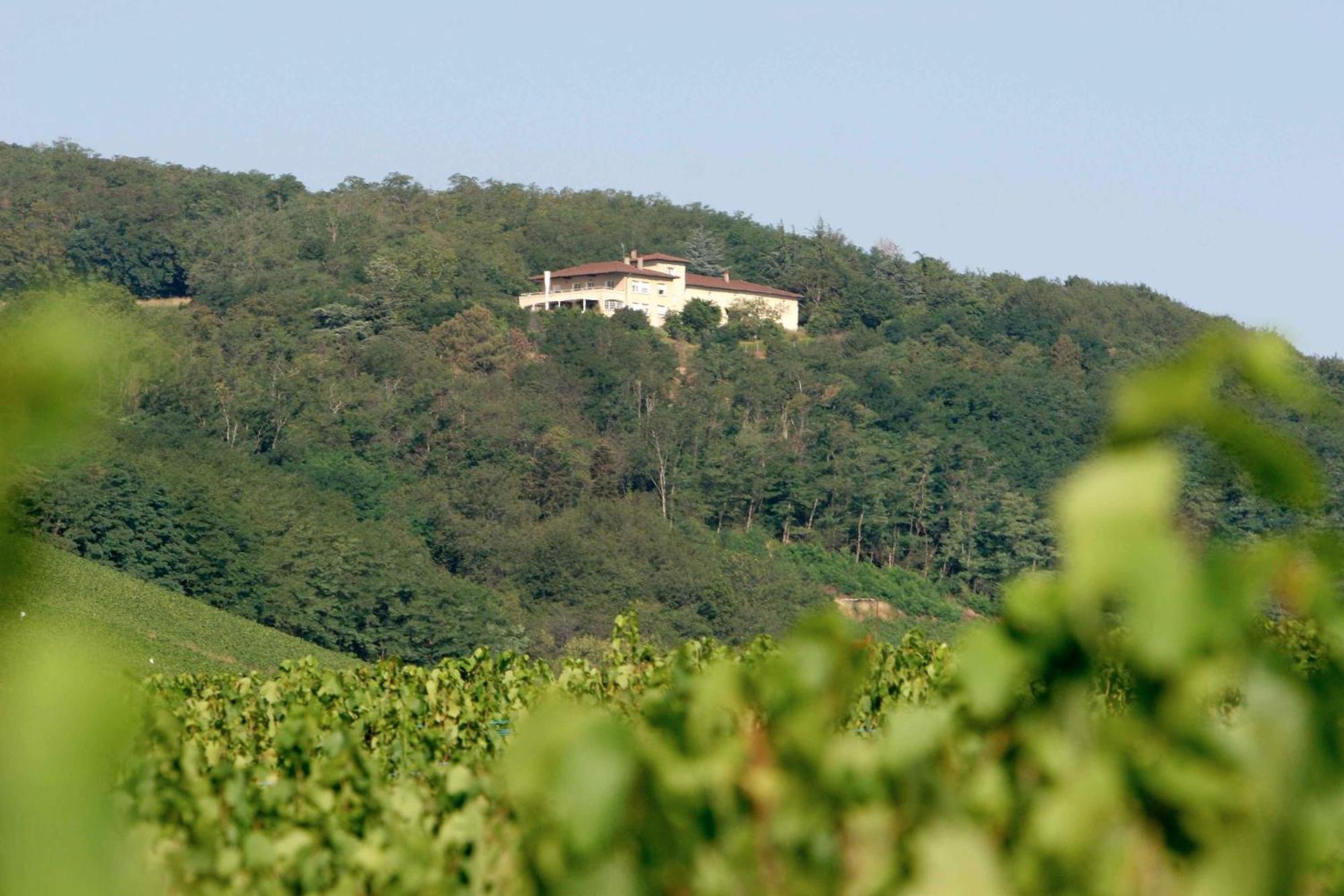 Auberge Les Hauts De Chénas المظهر الخارجي الصورة
